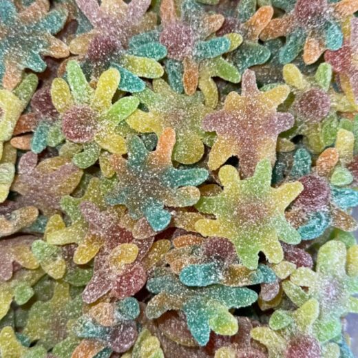 Bonbons Poulpes Acidulés Multicolores – Confiseries Fruitées et Piquantes (100g)