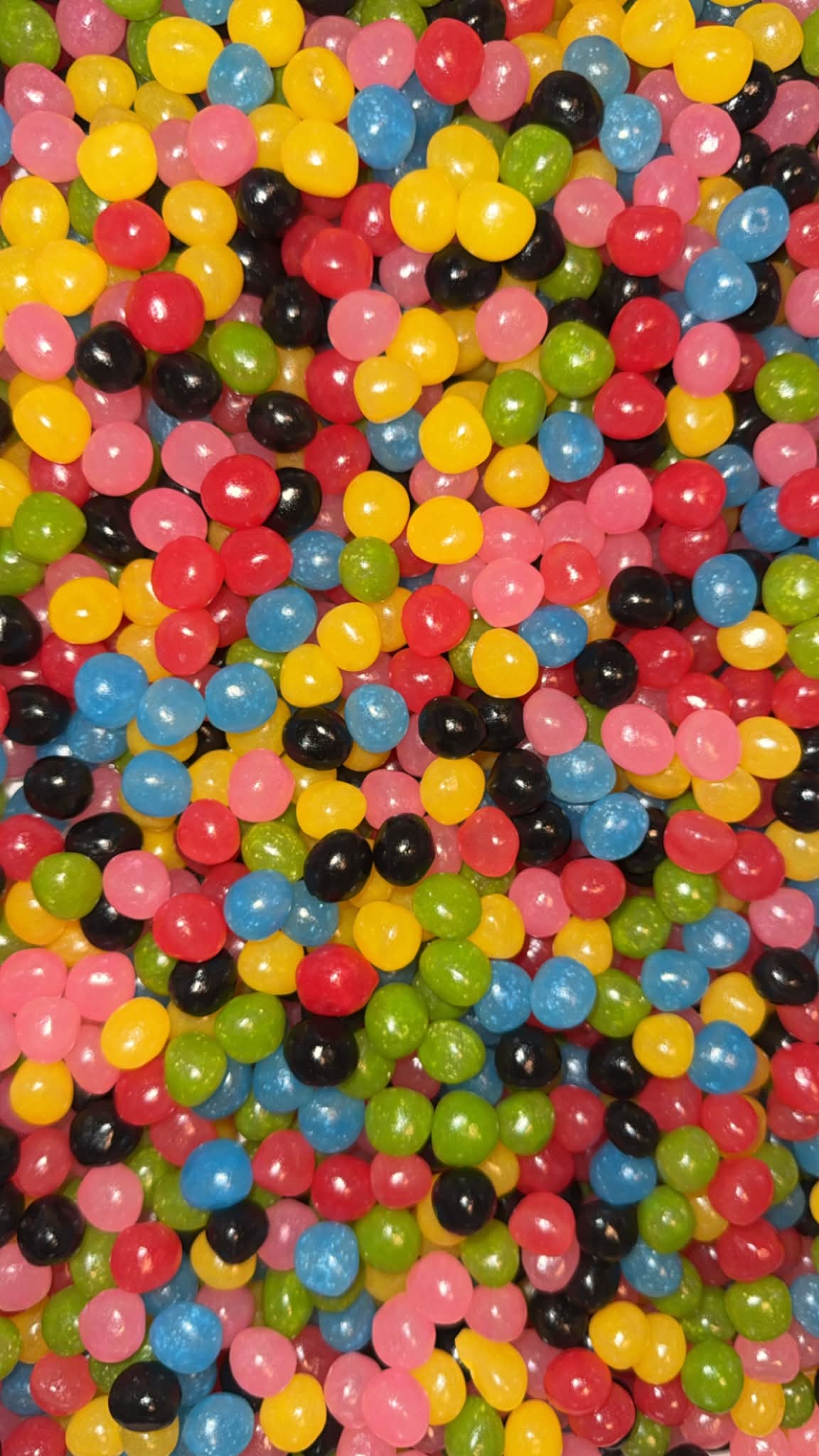 Dragibus Multicolores – Le Festival Fruité